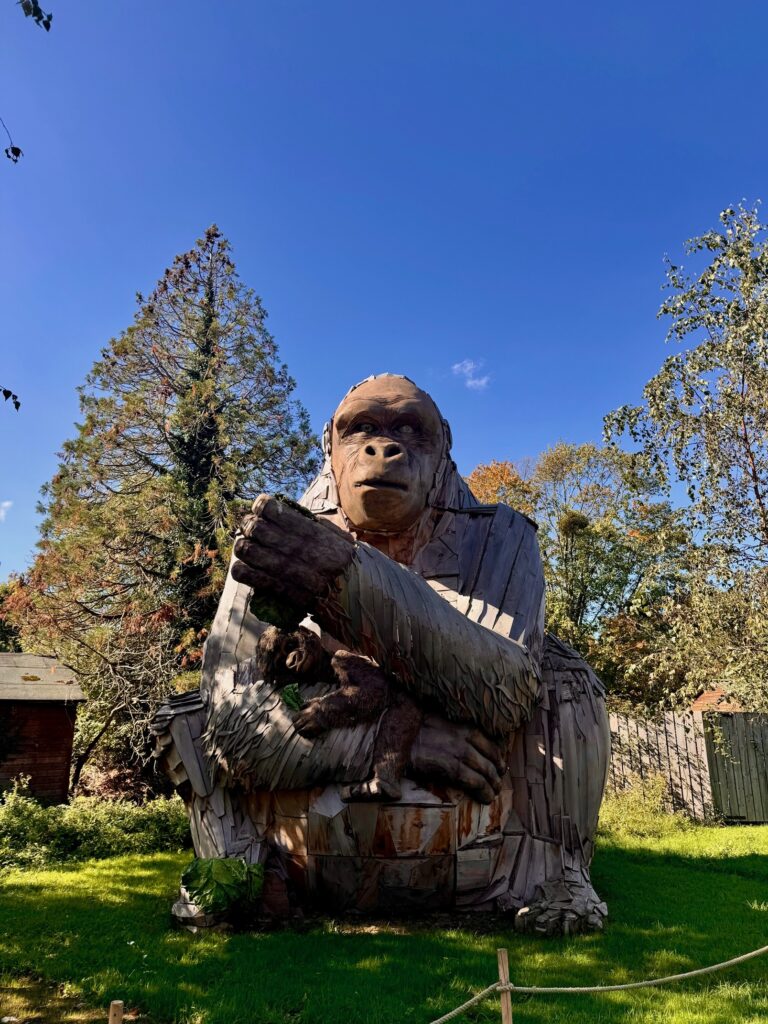 Bristol Zoo Project