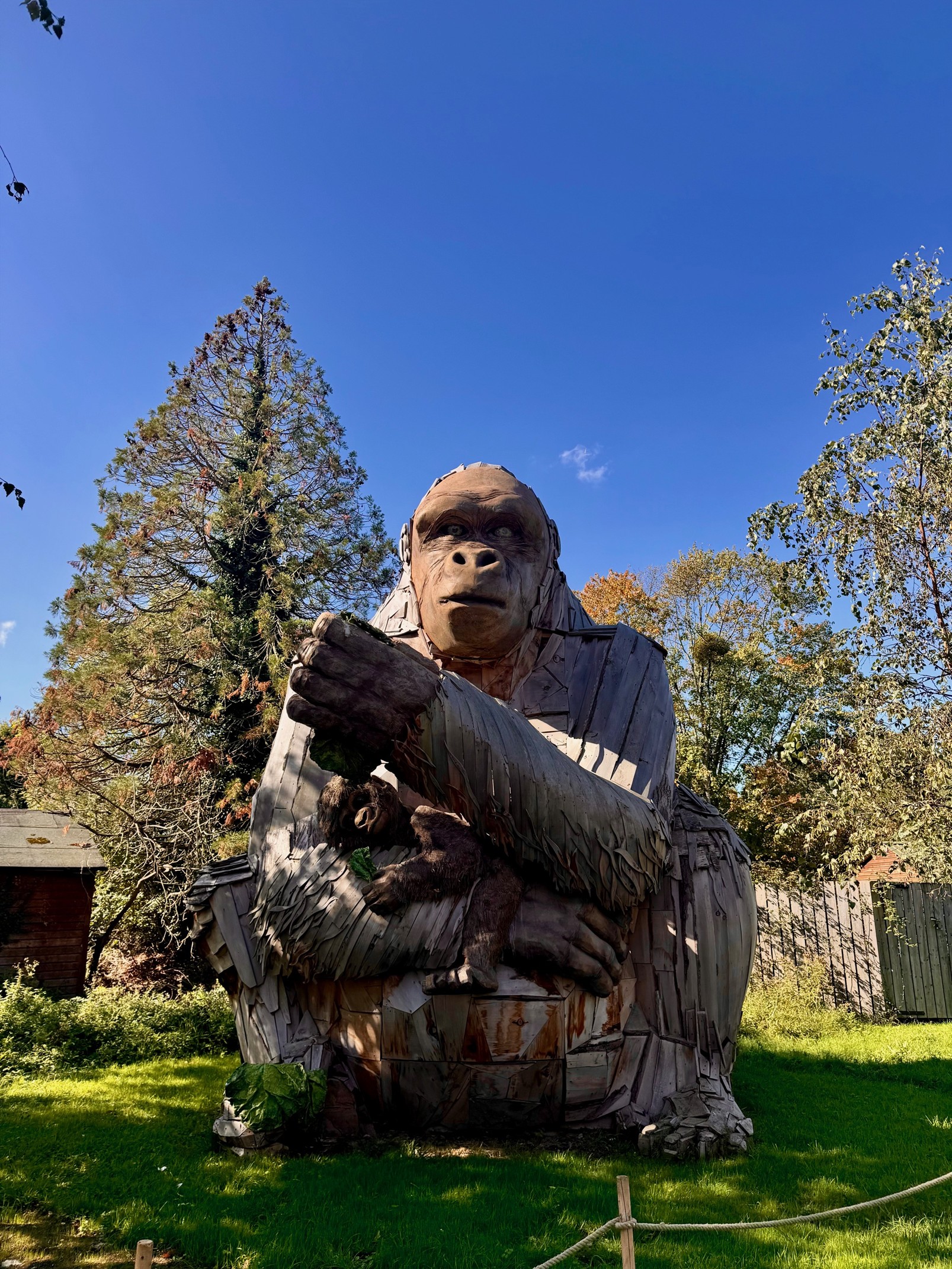 Bristol Zoo Project